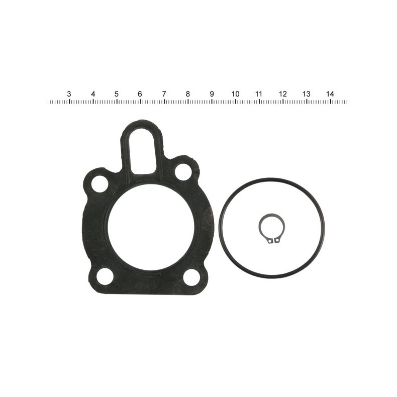 JAMES, OIL PUMP GASKET &amp; SEAL KIT  DL 91-20xl