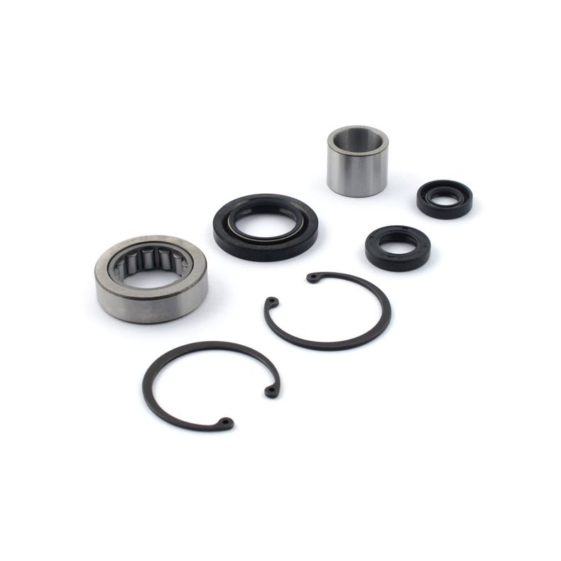 INNER PRIMARY BEARING &amp; SEAL KIT STOCK REPLACEMENT  Fits: > L1984 4-sp FX; L84-06 5-sp 