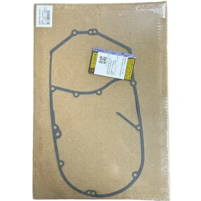 Classic 500 efi generator side pakning