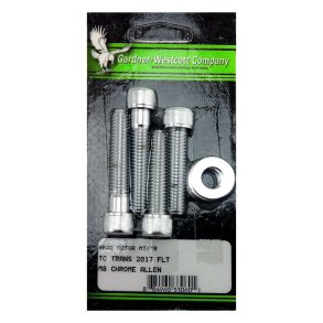 GW, REAR MOTOR MOUNT KIT. CHROME Chrome plated allen heads.  Fits: > 17-20 M8 Touring