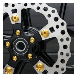 Arlen Ness, Titanium brake rotor bolt kit. Gold - Front: 14-25 FLT/Touring 