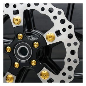 Arlen Ness, Titanium brake rotor bolt kit. Gold - Front: 14-25 FLT/Touring 