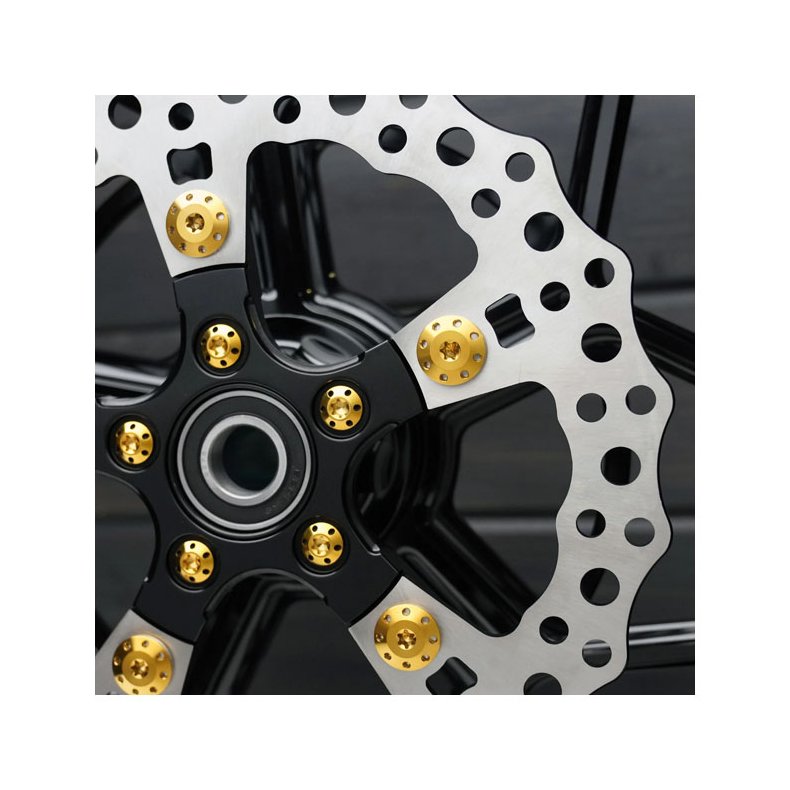 Arlen Ness, Titanium brake rotor bolt kit. Gold - Front: 14-25 FLT/Touring 