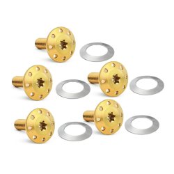 Arlen Ness, Titanium brake rotor bolt kit. Gold - Front: 14-25 FLT/Touring 