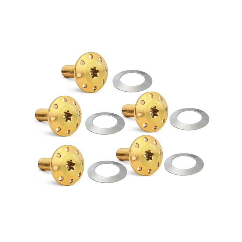 Arlen Ness, Titanium brake rotor bolt kit. Gold - Front: 14-25 FLT/Touring 