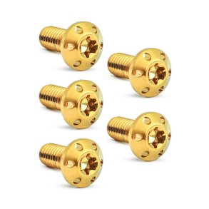 Arlen Ness, Titanium brake rotor bolt kit. Front. Gold 5/16