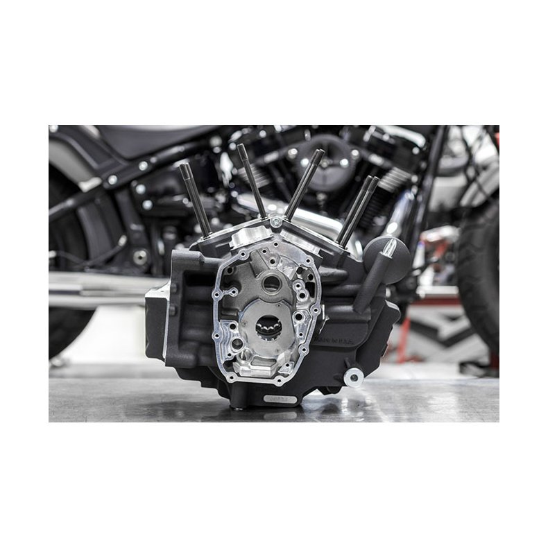 S&S, M8 Softail MK-Series crankcase assembly. 