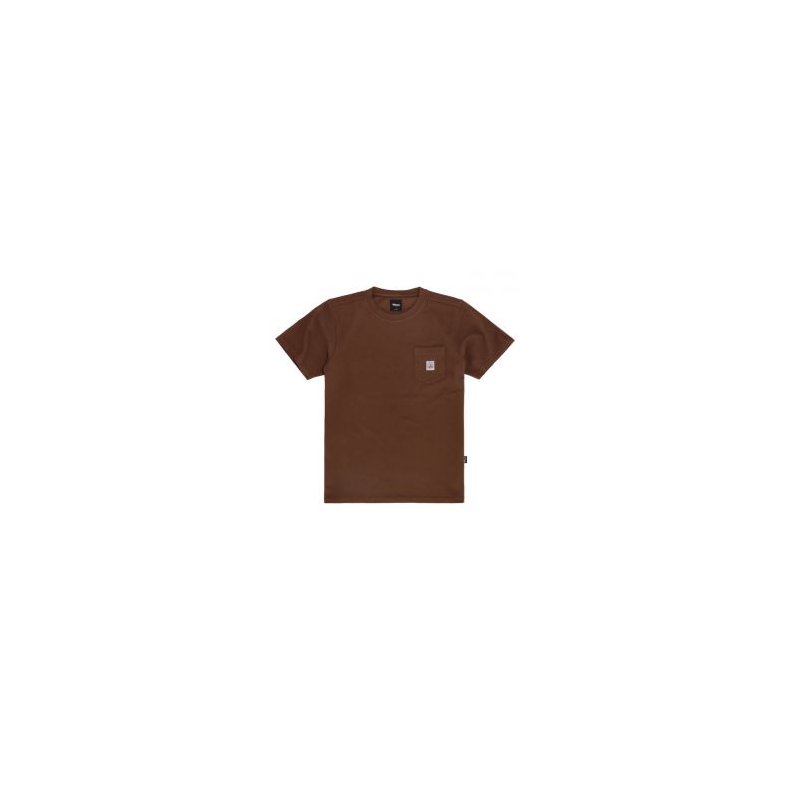 Roeg Ryder t-shirt brown