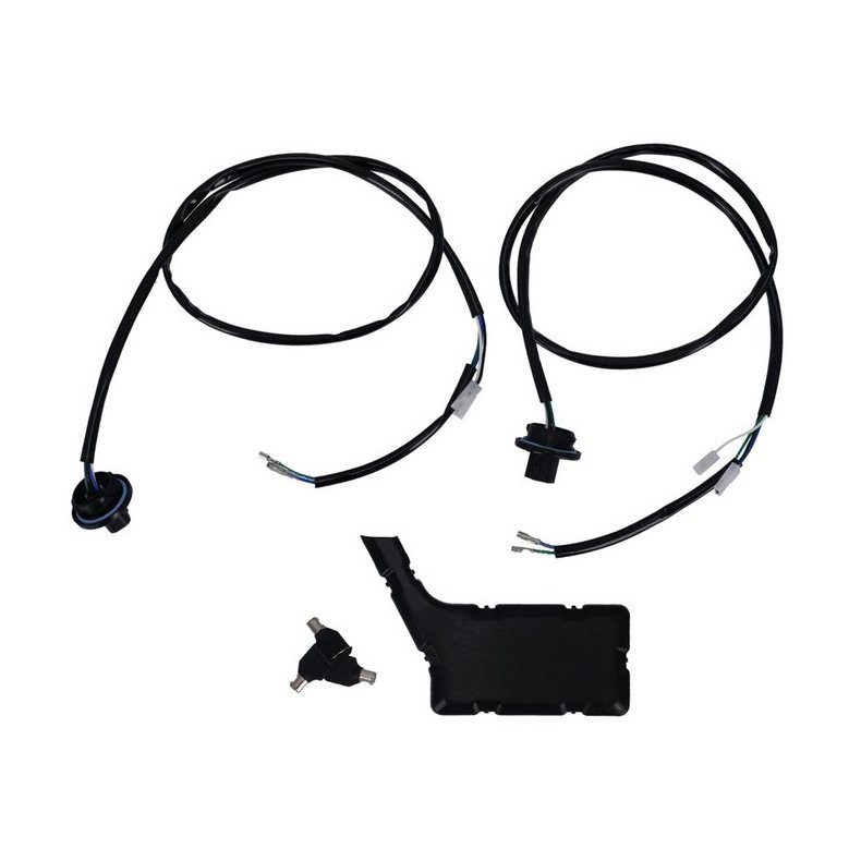 CVO style saddlebags