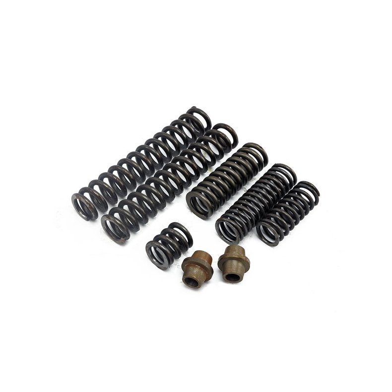 Replacement spring &amp; collar kit, seat plunger OEM reproduction replacement spring set and collars. 