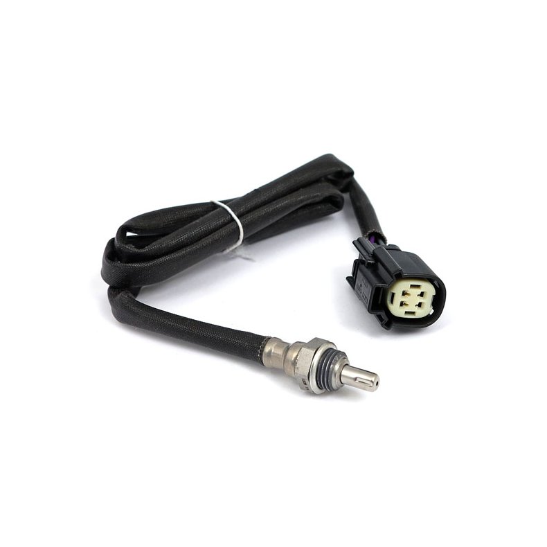 CVP, OXYGEN SENSOR EXHAUST.  10-20 Touring, Trikes