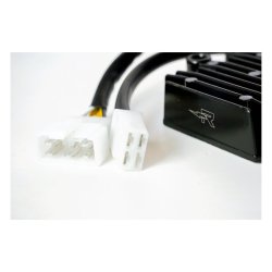 RICK'S LITHIUM ION BATTERY COMPATIBLE REC-REGULATOR cb