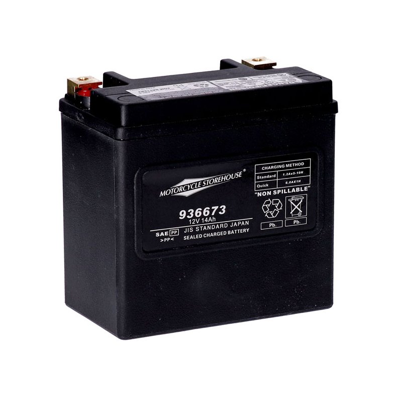 BATTERI ,04-22 XL; 21-22 RH 1250; 14-20 XG,  08-10 Buell,  Pan America/Special , 