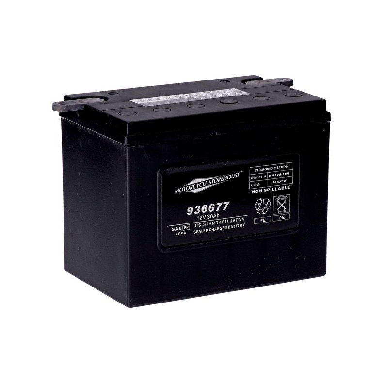 12V SEALED AGM BATTERY 65-84 FL; 67-78 XL; 64-73 45" Servi-Car