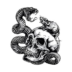 DOWN-N-OUT TRUST NO ONE STICKER Everyone needs stickers, no explanation necessary! 7,62 x 11,43 cm