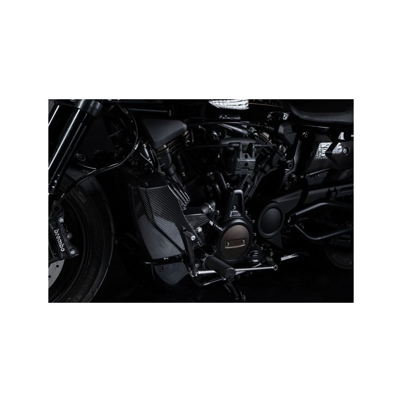 ZARD, CARBON RADIATOR COVER AND SIDE PANEL KIT