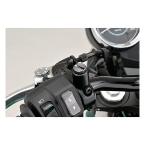 DAYTONA SPEJLHUL BOLT. M10X1,25 ALM. GEVIND