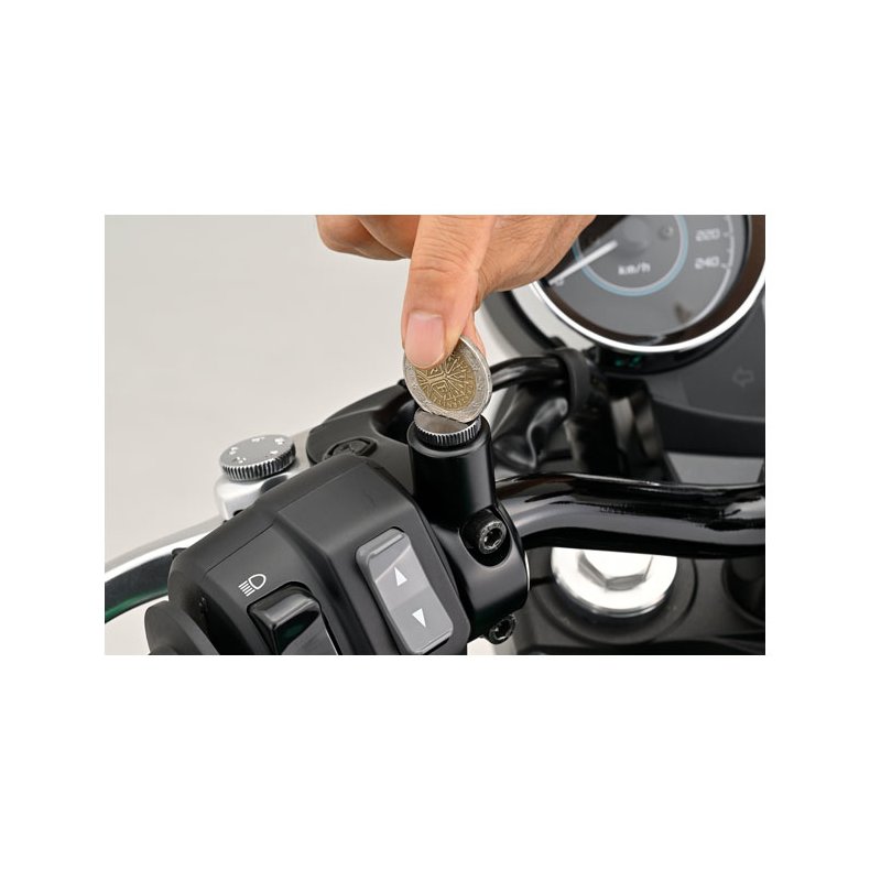 DAYTONA SPEJLHUL BOLT. M10X1,25 ALM. GEVIND