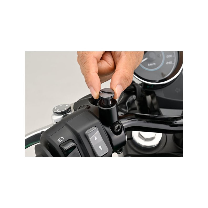 DAYTONA SPEJLHUL BOLT. M10X1,25 ALM. GEVIND