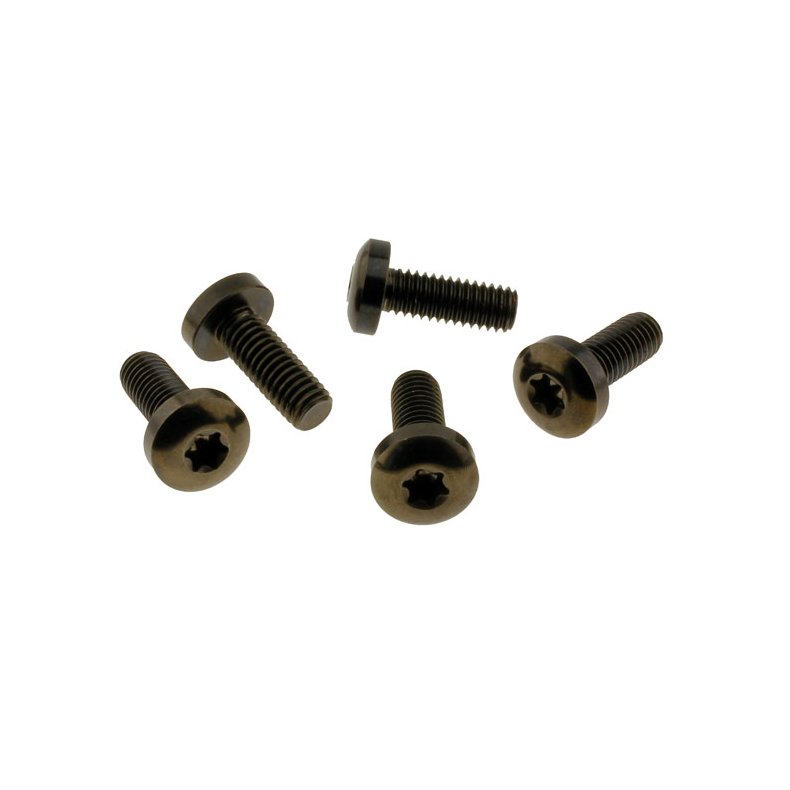 SCREWS4BIKES, BOLT KIT, BRAKE ROTOR DISCS REAR (TITAN) Gloss black. 