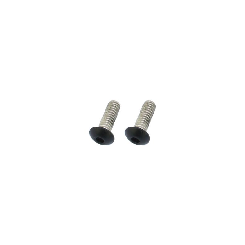 SCREWS4BIKES, BOLT KIT, POINT COVER/TIMER COVER 0-99 Big Twin (excl. Twin Cam); 91-20 XL Sportster