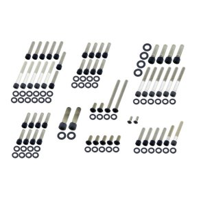 SCREWS4BIKES, ENGINE BOLT KIT  1999 Evo Big Twin 