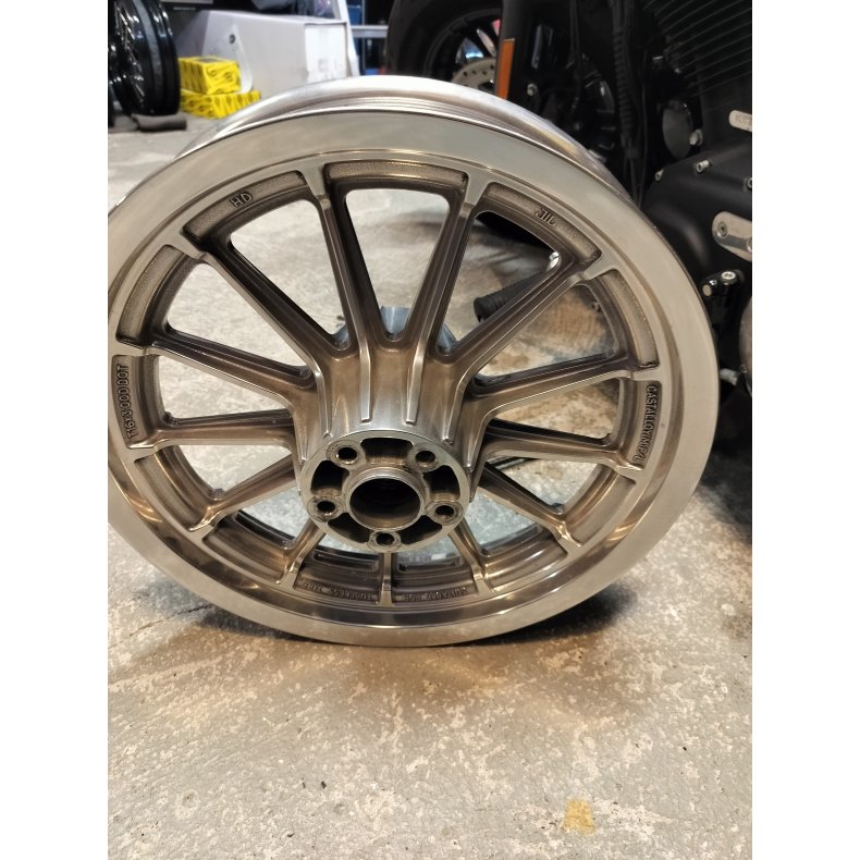 harley bagflg poleret