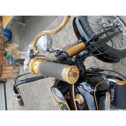 Harley Davidson Softail Springer fxsts. rgang 1995