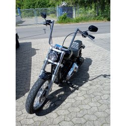 2021 Harley Davidson softail standard km 18159
