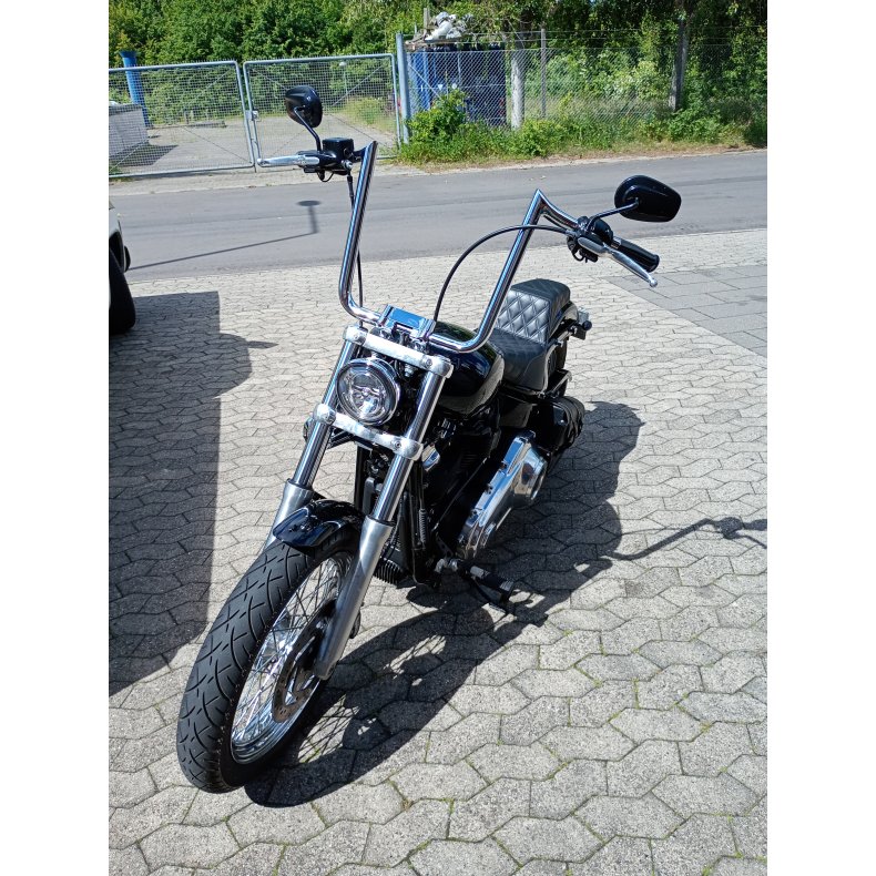 2021 Harley Davidson softail standard km 18159