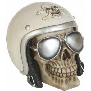 Kranie med Hjelm og Solbriller