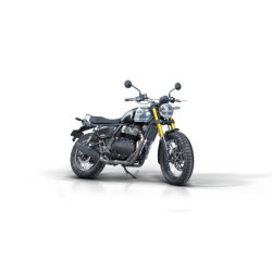 Royal Enfield Bear 650 (Golden Shadow)