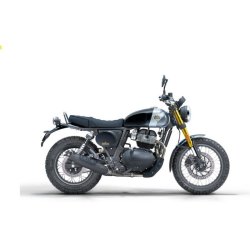 Royal Enfield Bear 650 (Golden Shadow)