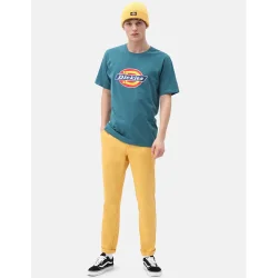 Dickies Horseshoe T-Shirt coral blue