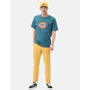 Dickies Horseshoe T-Shirt coral blue