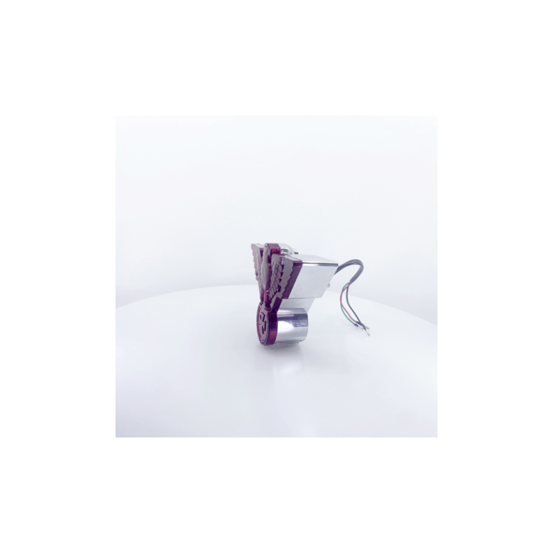 Warbird taillight med nr. lys.