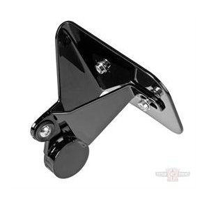 Thunderbike Side Mount License Plate, Short,  Fits: 04-19 Sportster 