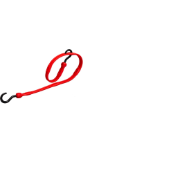 Bungee strap by The Perfect Bungee; 